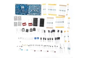 Wendry Amplificatore di potenza digitale, kit doppio canale fai-da-te Amplificatore di potenza stereo a bassa distorsione Modulo scheda amplificatore audio, Prestazioni