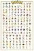 Produktbild Laminiert Pokemon Kanto 151 Maxi Poster 61 x 91,5 cm