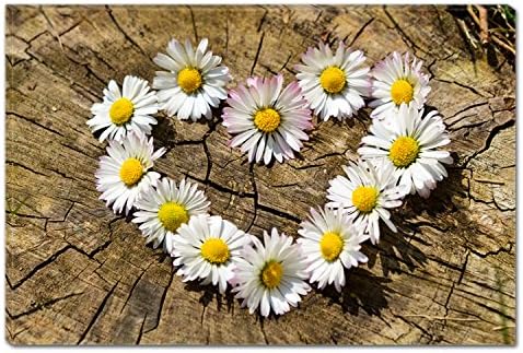 Startonight Canvas Wall Art Chamomile Heart, Dual View Surprise Artwork Modern Framed Ready to Hang Wall Art 100% Original Art Painting 60 x 90 CM