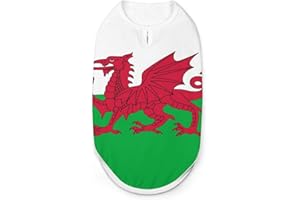 FWJZDSP Flag of Wales Welsh Dog Shirts Pet Printed Clothes Summer T Shirts Breathable Pullover Tank Top for Small Dogs Cats