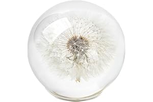 1st Heaven Wunscherfüller Pusteblume Briefbeschwerer aus Kristallglas – Echte konservierte Pusteblume – Symbol für Hoffnung, Glück & Neuanfang – Geschenk mit Box & Karte (80mm)