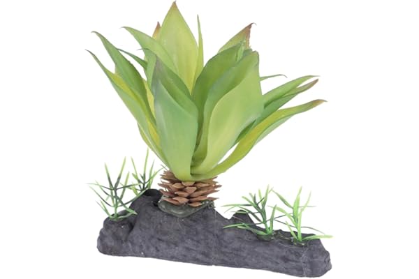 Toddmomy Plantes Artificielles pour Terrarium Reptiles Décor Naturel Plastique Vert Simulation Habitat Tortue Lézard Amphibien