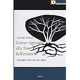 Come vignaioli alla fine dell'estate. L'ecologia vista da una vigna
