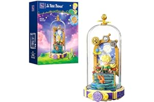 PAN TASY PANTASY Le Petit Prince Set de Bloques de Construcción Puerta Estrellada Modelo Creativo DIY con Minifigura y Cubierta de Alta Transparencia para Adultos y Niños