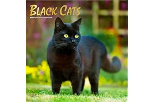 Black Cats – Schwarze Katzen 2026 – 16-Monatskalender: Original BrownTrout-Kalender [Mehrsprachig] [Kalender] (Wall-Kalender)