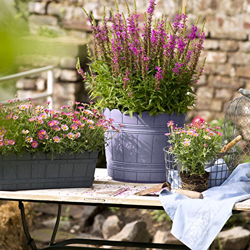 Emsa 515259 Blumenkübel für den Balkon, Shabby Chic, Ø 24 cm, Flieder, Country - 5