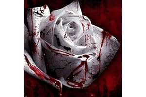 FLOWER FIELD STORY 100 piezas Semillas de flores de rosas de sangre blanca Jardín de flores Semillas de rosas de sangre real raras Flores perennes exóticas