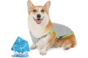 PAWTASY Gilet Rinfrescante per Cani Pettorina Refrigerante Cane con 2 Impacco di Ghiaccio Gel Giubbotto Refrigerante Cani Collare Raffreddamento Cane di Grande e Media Taglia Grigio L
