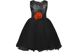 JerrisApparel Petite Fille Paillette Fête Fleur Robe de Cérémonie Bal Banquet Tulle
