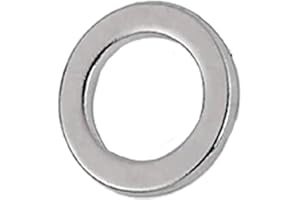 Truento Tagesschieber magnetisch (Magnetring/Ringmagnet/Datumsweiser) für Tischkalender Edelstahl gebürstet