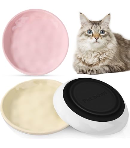 6 Ciotole Per Gatti In Acciaio Inossidabile 304, Diametro 6.3 Pollici (16 Cm), Basse E Larghe, Anti-affaticamento Baffi - Ideali Per Gatti E Cani Piccoli