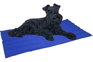 NAYECO Alfombrilla REFRESCANTE Cool Mat Gel Azul 50X40CM