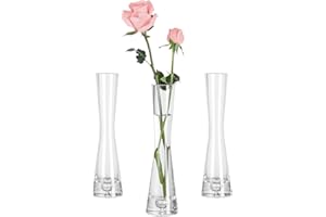 Hewory Vase à Fleurs en Verre Lot De 3, Vases à Fleurs en Verre, Vase à Bourgeons De 20cm, Vase à Tige Unique en Cristal Clair pour Centre De Table, Vases à Fleurs Hauts Et Fins pour Salon, Mariage