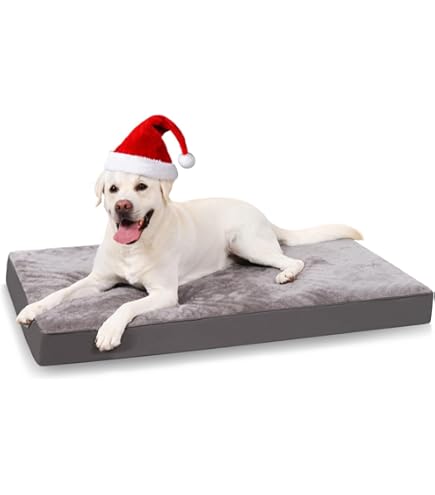 Jack and Vanilla WATERPROOF Hondenbed Zwart-L 100x70x14cm Jack and Vanilla