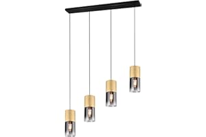 Trio Leuchten Lampa wisząca Robin 310600454, metal mosiądz matowy, szkło w kolorze przydymionym, ekskluzywna 4 x E27