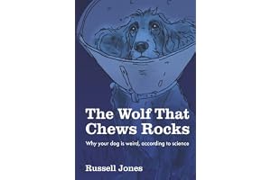 The Wolf That Chews Rocks