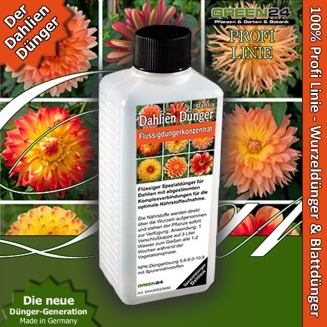 Dahlien-Dünger Dahlia Flüssigdünger HIGHTECH