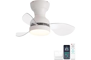 ycwdcz Ø56cm Mini Deckenventilator mit Lampe und Fernbedienung, kleine Deckenventilator mit Beleuchtung, Reversibel Sommer Winterbetrieb 6 Gang Leise DC Motor, Weiß + Transparent