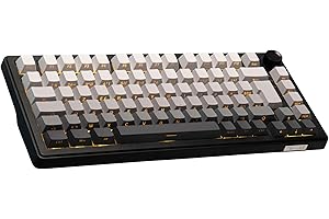 The G-Lab KEYZ Elite 300 GRG - Clavier Gamer sans Fil TKL Tri Mode 2.4 Ghz/Bluetooth/Filaire - Clavier Mécanique Hot Swap, Switchs Pré-lubrifiés, Gravur Latéral, RGB+Macro - AZERTY FR - Windows/Mac