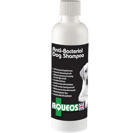 itchy dog shampoo uk