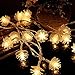 Produktbild ToWinle 3M Lichterkette 20er Led Lichterkette Batterienbetriebene Wasserdicht Innen- und Außen Echinacea Lichterkette für Weihnachten,Halloween,Hochzeit,Party,Garten,Weihnachtsbaum
