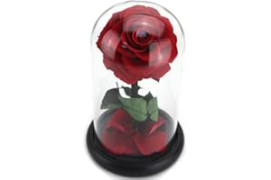 Kylin Glory Preserved Rose Flowers Gift for Mom Wife Girlfriend Women Elegant Present for Valentine's Day Mother's Day Anniversary Birthday (Red)