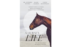 A Horse's Life: The Neuroscience of Equine Welfare