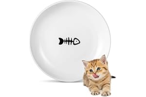 DORAKITTEN Ceramic Cat Food Plates: Whisker Fatigue Cat Dishes & Shallow Bowls for Kittens and Small Animals