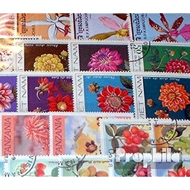 Prophila Collection 100 Francobolli Diversi Scouts - Per Collezionisti, Originali, Mai Affrancati, Ideali Per Iniziare Una Collezione
