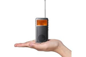 Raddy RF205 FM przenośne radio, kieszonkowe mini radio z połączeniem BT 5.3, wyjście sygnału FM-BT, głośnik odtwarzacza muzyki MP3 zasilany bateryjnie, ładowanie typu C, budzik, szary