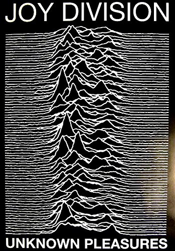 Preisvergleich Produktbild Joy Division Poster Unknown Pleasures