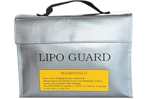 KNOWING LiPo Battery Bag, Borsa Lipo antideflagrante, Custodia batterie ad alta carica, Custodia gioielli con passaporto in contanti carta, Protezione con design dell'impugnatura (argento)