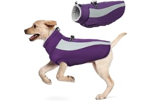 Hjyokuso Cappotto Cane, Cappottino Cane Per Piccoli, Medi e Grandi Cani, Vestiti Per Cani Impermeabile e Caldo, Cappottino Imbottito Per Cane Con Strisce Riflettenti e Cerniera - Viola XXL
