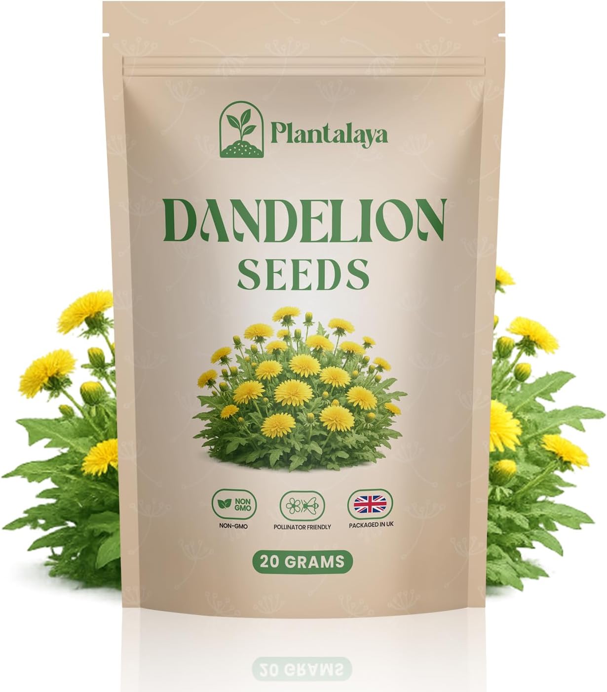Dandelion Seeds for Planting & Pet Forage – Tortoise, Rabbit & Guinea Pig Food – Easy Grow Edible Herb Garden Seeds – Taraxacum Officinale (20g)