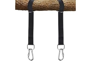 TAIXINPOWER Tree Swing Hanging Straps Kit - Holds 2000 lbs - Heavy Duty with Safer Lock Snap Carabiner Hooks, Perfect for Tree Swings & Hammocks, Easy Installation, Carry Pouch Included (5ft)