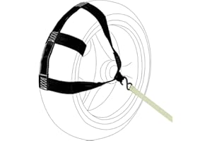 Oldbones Sangle d'arrimage universelle pour roue arrière de moto - Noir