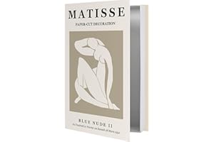 Gxdamxz Fake Bücher, Buchattrappe Deko Desktop mit öFfnungsfunktion für Aufbewahrung - GXIND027-A2