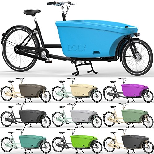 Preisvergleich Produktbild 26 Zoll Lastenrad 5 Gang Dolly Family