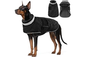 ASENKU Manteau Chien Hiver Imperméable Coupe-Vent,Manteau d'hiver pour Chien Chaud en Polaire Veste Réfléchissante Vêtement pour Petits, Moyens et Grands Chiens 2XL