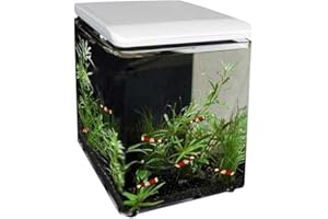 SuperFish 545250/1989 Home 8 Mini Aquarium Blanc