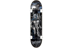 Tony Hawk Skateboard completo SS 540