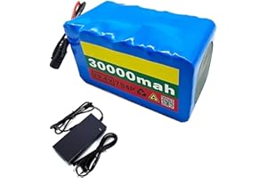 BDBLFLTZ E-Bike Batteria 24V 30Ah 7S4P Bicicletta elettrica agli ioni di Litio Batteria per 50W-500W Motore Elettrico Bicicletta Scooter con 20A BMS e Caricabatterie