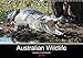 Produktbild Australian Wildlife (Wandkalender 2019 DIN A3 quer)