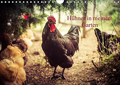 Preisvergleich Produktbild Hühner in meinem Garten (Wandkalender 2017 DIN A4 quer): professionelle Hühnerfotos (Monatskalender, 14 Seiten ) (CALVENDO Tiere)