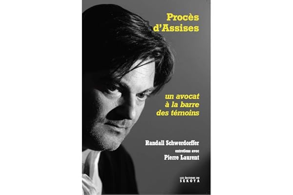 Procès d'assises, : un avocat à la barre des témoins