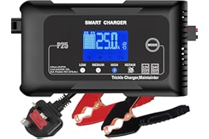 HAISITO 12V 24V Smart Car Battery Charger, 25 Amp LiFePO4, Lithium, Lead-Acid(AGM/GEL/EFB/SLA) Fully-Automatic Battery Charger, Portable Battery Maintainer Trickle Charger For Car, Motorcycle, Boat, etc
