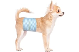 Flying Paws Bande per pancia usa e getta per cani maschi, con indicatore di umidità, super assorbenti, morbidi, pannolini per cani maschili (L, 20)