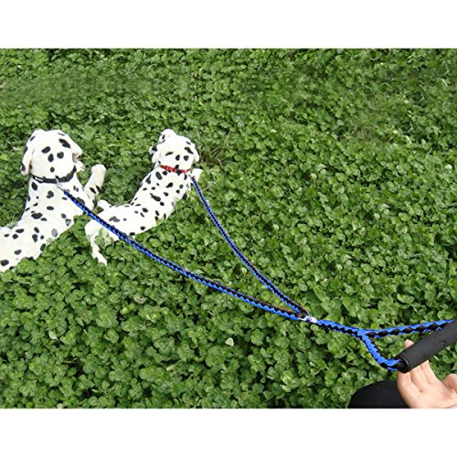 Dog-Leash-2-Dogs-Focuspet-Double-Dog-Leash-46-Foot-2-Way-No-Tangle-Coupler-Double-Pet-Dog-Lead-Leash-Twin-Large-Medium-Small-Dogs-Blue-and-Black