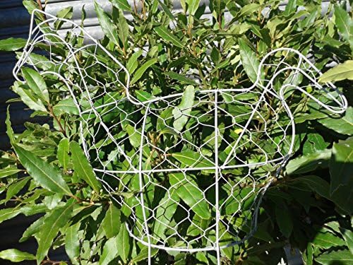forestfox Chicken Topiary Frame. Two sections with Ground Spikes. 45cm. Plant Grow Support