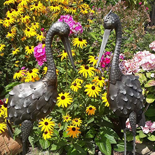 Kraniche Mehr Als 500 Angebote Fotos Preise Seite 3